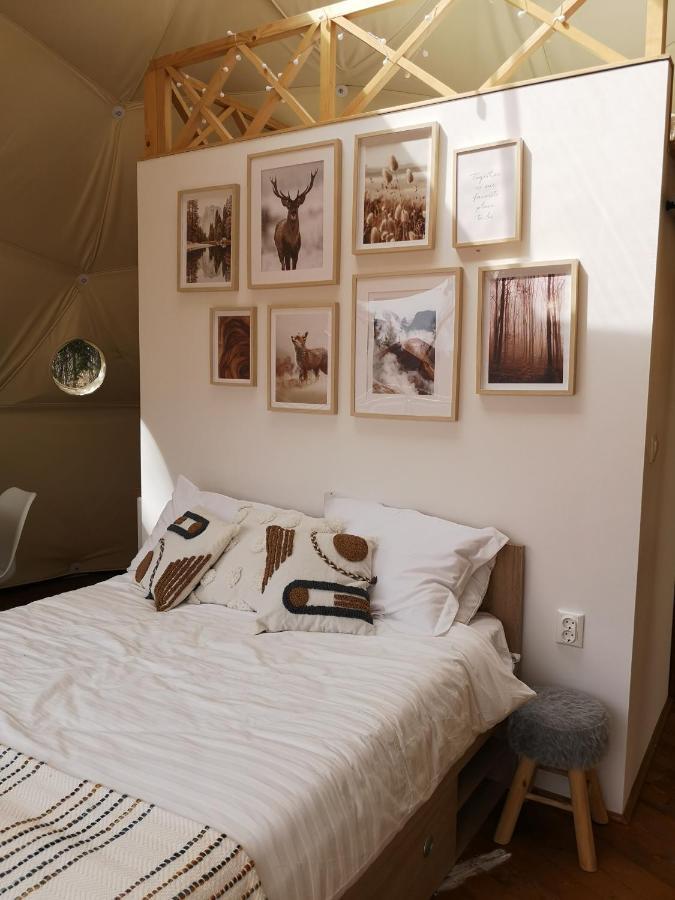 Medve Dome - Luxury Camping In The Middle Of Nature Hotell Vlahita Eksteriør bilde