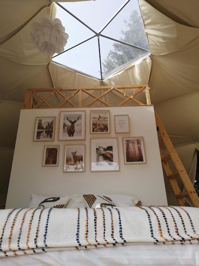 Medve Dome - Luxury Camping In The Middle Of Nature Hotell Vlahita Eksteriør bilde