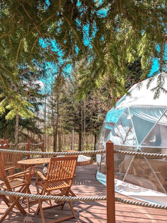 Medve Dome - Luxury Camping In The Middle Of Nature Hotell Vlahita Eksteriør bilde