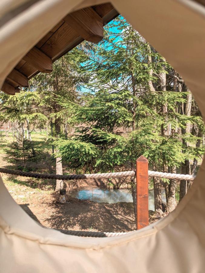 Medve Dome - Luxury Camping In The Middle Of Nature Hotell Vlahita Eksteriør bilde
